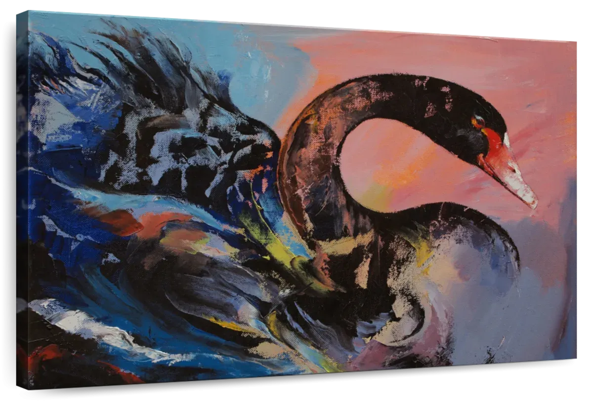 A Black Swan Wall Art