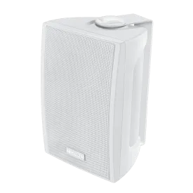 Ahuja PS400TM Passive Wall Mount Speaker